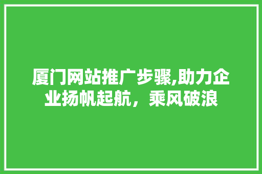 厦门网站推广步骤,助力企业扬帆起航，乘风破浪