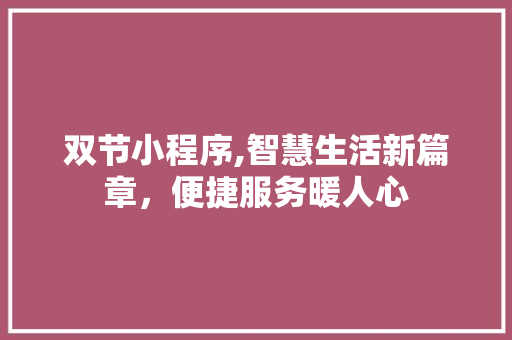 双节小程序,智慧生活新篇章，便捷服务暖人心