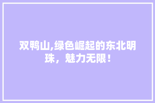 双鸭山,绿色崛起的东北明珠，魅力无限！