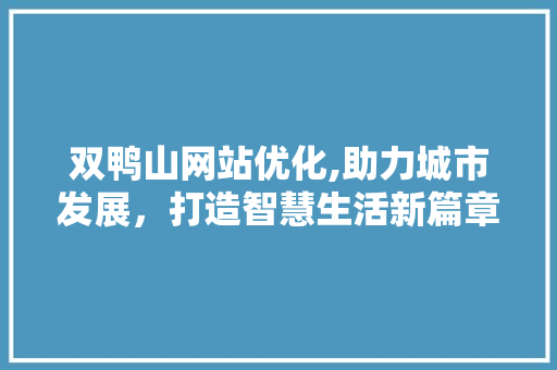 双鸭山网站优化,助力城市发展，打造智慧生活新篇章
