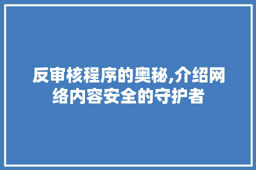 反审核程序的奥秘,介绍网络内容安全的守护者
