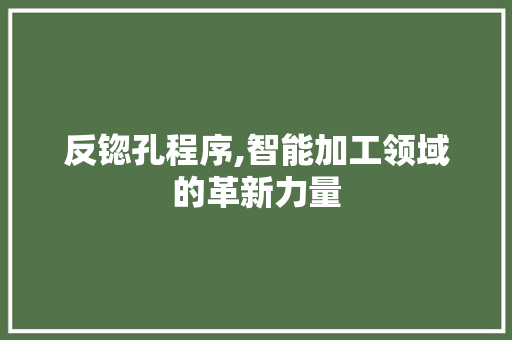 反锪孔程序,智能加工领域的革新力量