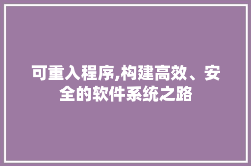 可重入程序,构建高效、安全的软件系统之路
