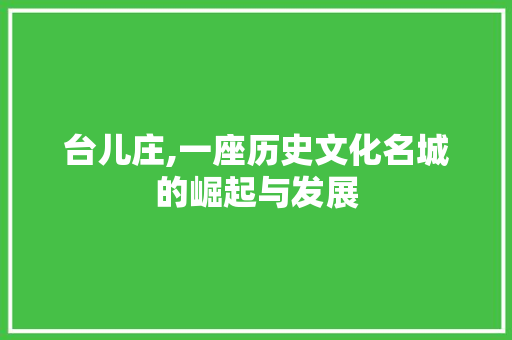 台儿庄,一座历史文化名城的崛起与发展 台儿庄,一座历史文化名城的崛起与发展 搜狗SEO