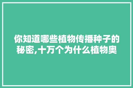 你知道哪些植物传播种子的秘密,十万个为什么植物奥秘读后感。 你知道哪些植物传播种子的秘密,十万个为什么植物奥秘读后感。 网站建设公司