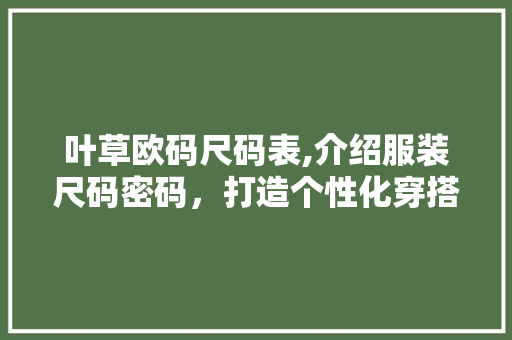 叶草欧码尺码表,介绍服装尺码密码，打造个性化穿搭