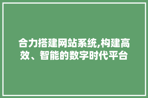 合力搭建网站系统,构建高效、智能的数字时代平台 合力搭建网站系统,构建高效、智能的数字时代平台 神马SEO