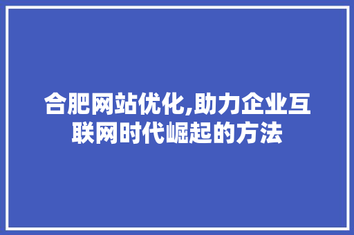 合肥网站优化,助力企业互联网时代崛起的方法