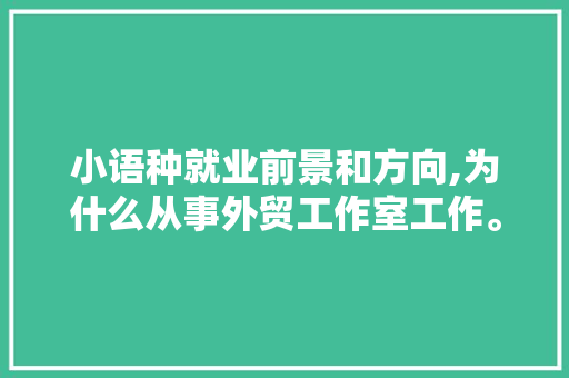 小语种就业前景和方向,为什么从事外贸工作室工作。