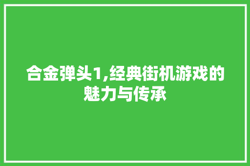 合金弹头1,经典街机游戏的魅力与传承