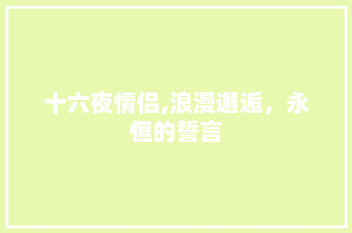 十六夜情侣,浪漫邂逅，永恒的誓言