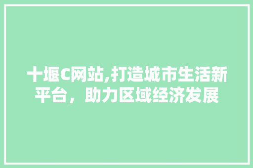 十堰C网站,打造城市生活新平台，助力区域经济发展