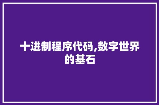 十进制程序代码,数字世界的基石