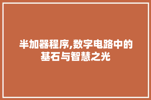 半加器程序,数字电路中的基石与智慧之光