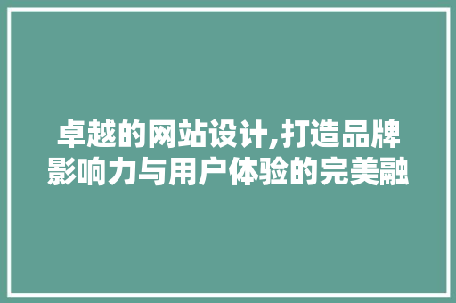 卓越的网站设计,打造品牌影响力与用户体验的完美融合
