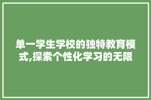 单一学生学校的独特教育模式,探索个性化学习的无限可能