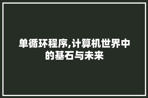 单循环程序,计算机世界中的基石与未来 单循环程序,计算机世界中的基石与未来 百度SEO