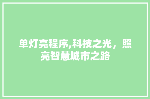 单灯亮程序,科技之光，照亮智慧城市之路