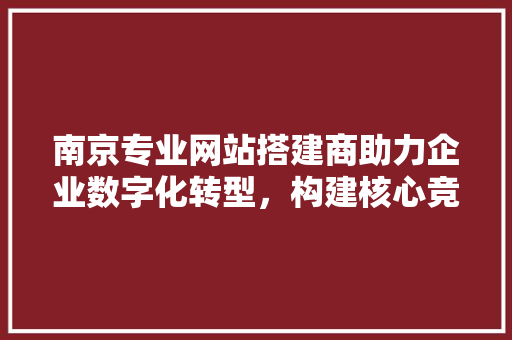 南京专业网站搭建商助力企业数字化转型，构建核心竞争力 南京专业网站搭建商助力企业数字化转型，构建核心竞争力 神马SEO