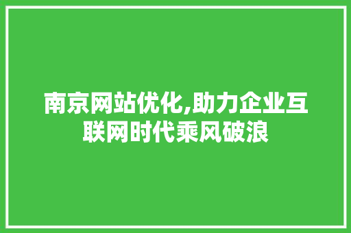 南京网站优化,助力企业互联网时代乘风破浪