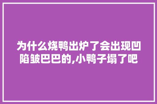 为什么烧鸭出炉了会出现凹陷皱巴巴的,小鸭子塌了吧为什么要叫。 为什么烧鸭出炉了会出现凹陷皱巴巴的,小鸭子塌了吧为什么要叫。 网站建设公司