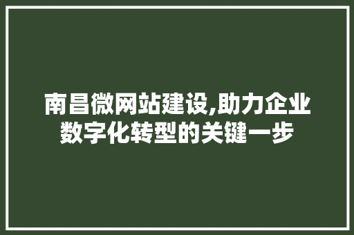 南昌微网站建设,助力企业数字化转型的关键一步