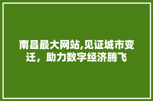 南昌最大网站,见证城市变迁，助力数字经济腾飞