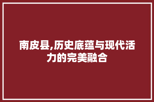 南皮县,历史底蕴与现代活力的完美融合 南皮县,历史底蕴与现代活力的完美融合 SEO关键词
