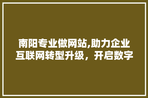 南阳专业做网站,助力企业互联网转型升级，开启数字营销新篇章 南阳专业做网站,助力企业互联网转型升级，开启数字营销新篇章 SEO关键词