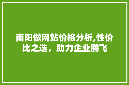 南阳做网站价格分析,性价比之选，助力企业腾飞 南阳做网站价格分析,性价比之选，助力企业腾飞 必应SEO