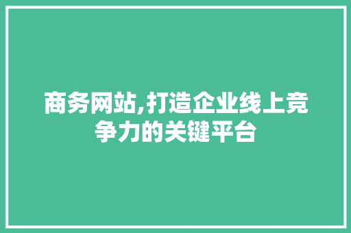 商务网站,打造企业线上竞争力的关键平台