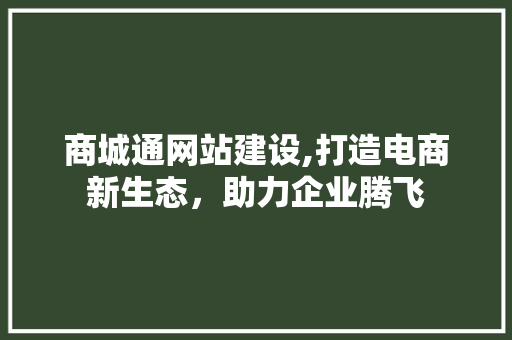 商城通网站建设,打造电商新生态，助力企业腾飞