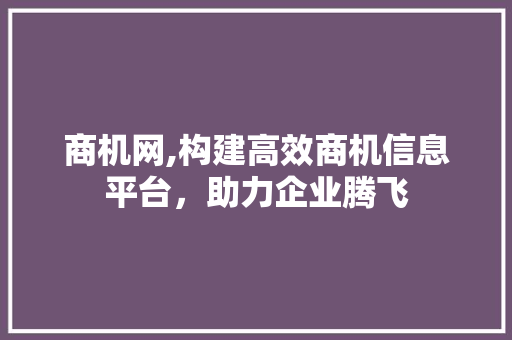 商机网,构建高效商机信息平台，助力企业腾飞 商机网,构建高效商机信息平台，助力企业腾飞 神马SEO