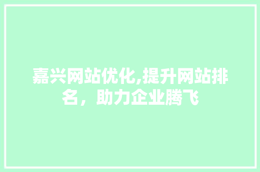 嘉兴网站优化,提升网站排名，助力企业腾飞