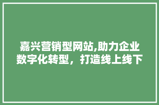 嘉兴营销型网站,助力企业数字化转型，打造线上线下融合新生态