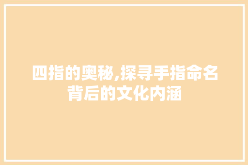 四指的奥秘,探寻手指命名背后的文化内涵