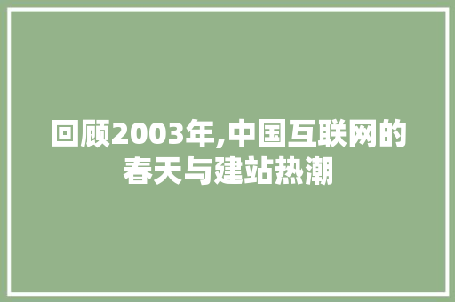 回顾2003年,中国互联网的春天与建站热潮 回顾2003年,中国互联网的春天与建站热潮 神马SEO