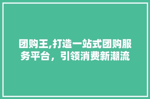 团购王,打造一站式团购服务平台，引领消费新潮流