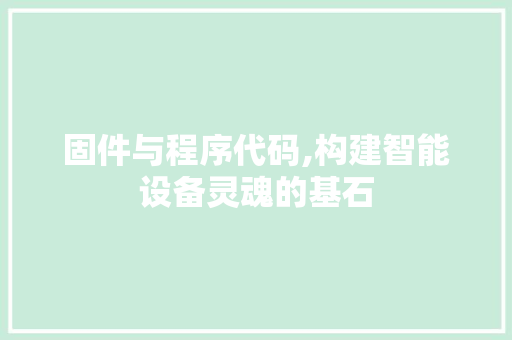 固件与程序代码,构建智能设备灵魂的基石