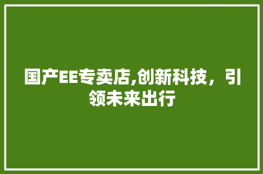 国产EE专卖店,创新科技，引领未来出行