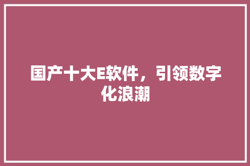 国产十大E软件，引领数字化浪潮 国产十大E软件，引领数字化浪潮 必应SEO