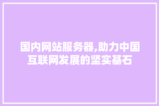 国内网站服务器,助力中国互联网发展的坚实基石 国内网站服务器,助力中国互联网发展的坚实基石 网站建设公司