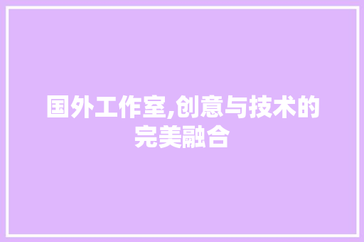 国外工作室,创意与技术的完美融合 国外工作室,创意与技术的完美融合 必应SEO