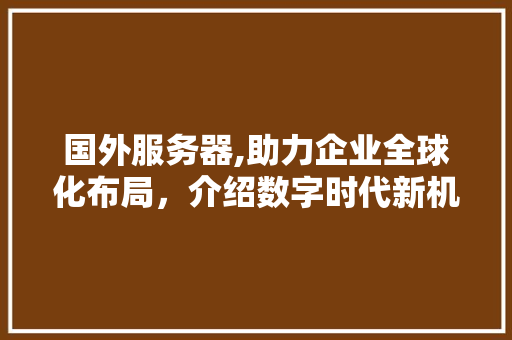 国外服务器,助力企业全球化布局，介绍数字时代新机遇