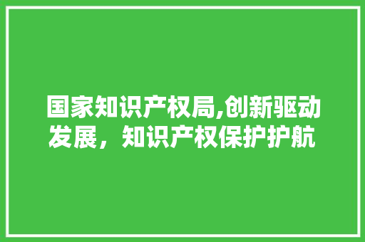 国家知识产权局,创新驱动发展，知识产权保护护航