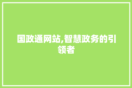 国政通网站,智慧政务的引领者