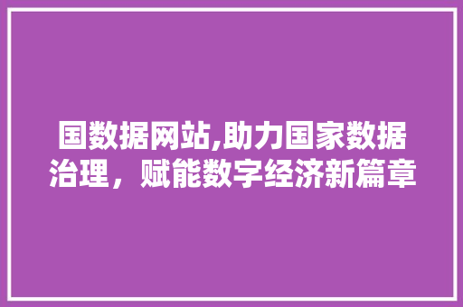 国数据网站,助力国家数据治理，赋能数字经济新篇章
