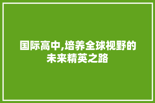国际高中,培养全球视野的未来精英之路 国际高中,培养全球视野的未来精英之路 神马SEO