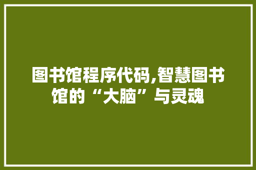 图书馆程序代码,智慧图书馆的“大脑”与灵魂