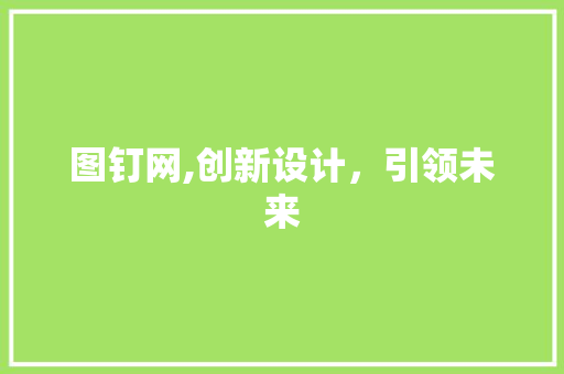 图钉网,创新设计，引领未来 图钉网,创新设计，引领未来 网站建设公司